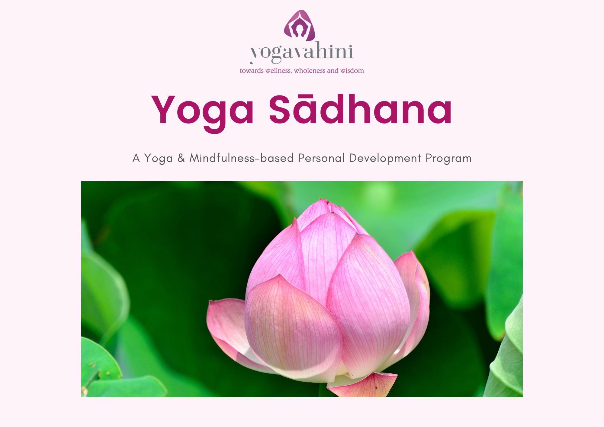 yoga and mindfulness program