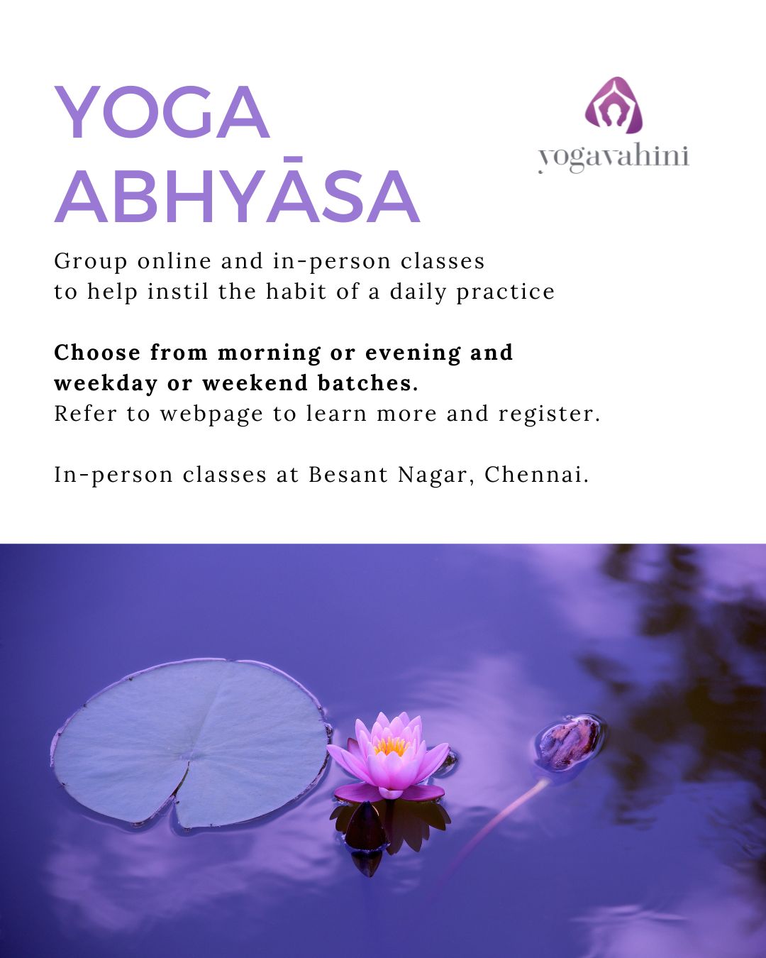group yoga classes online and in-person (chennai)
